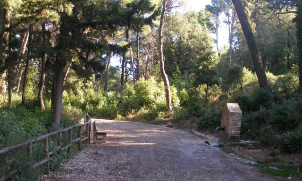 Κορωνοϊός: Περιπολικά απομακρύνουν από το Τατόι πολίτες που κάνουν βόλτα (βίντεο)